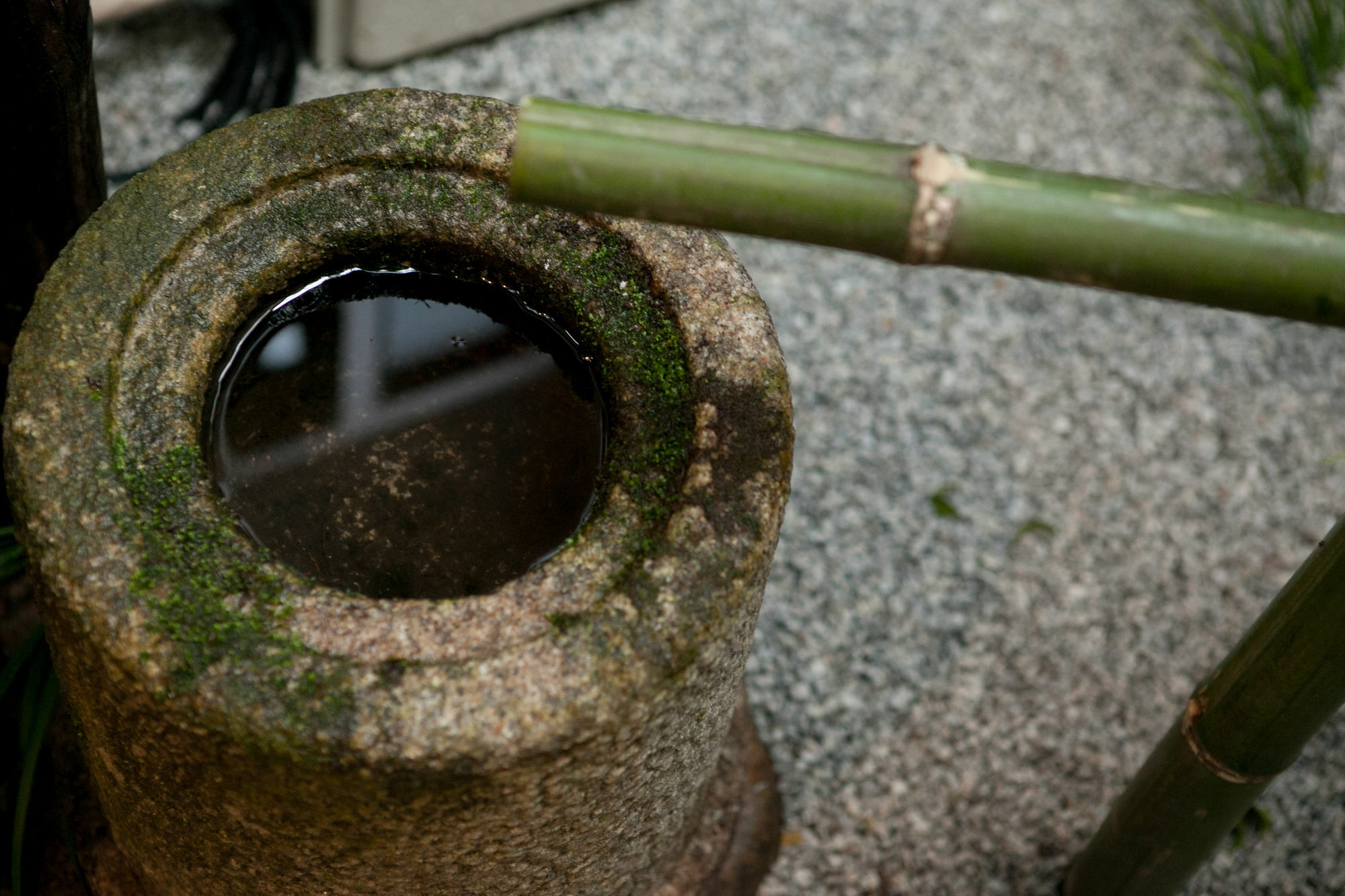 Rinn Kujokamogawa Kyoto Buitenkant foto
